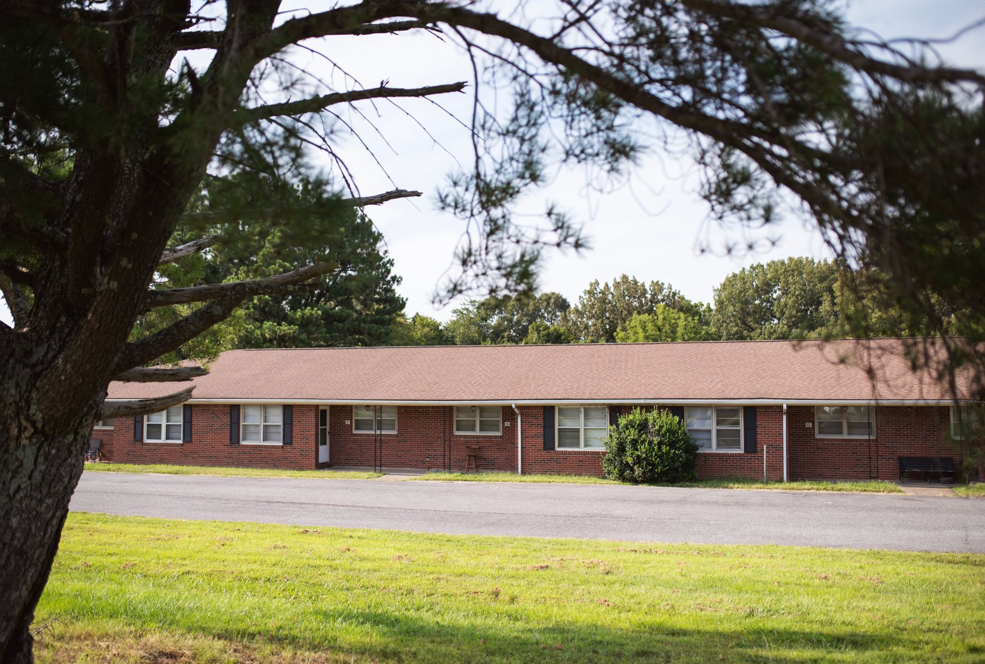 A brick house with a tree in front of it
