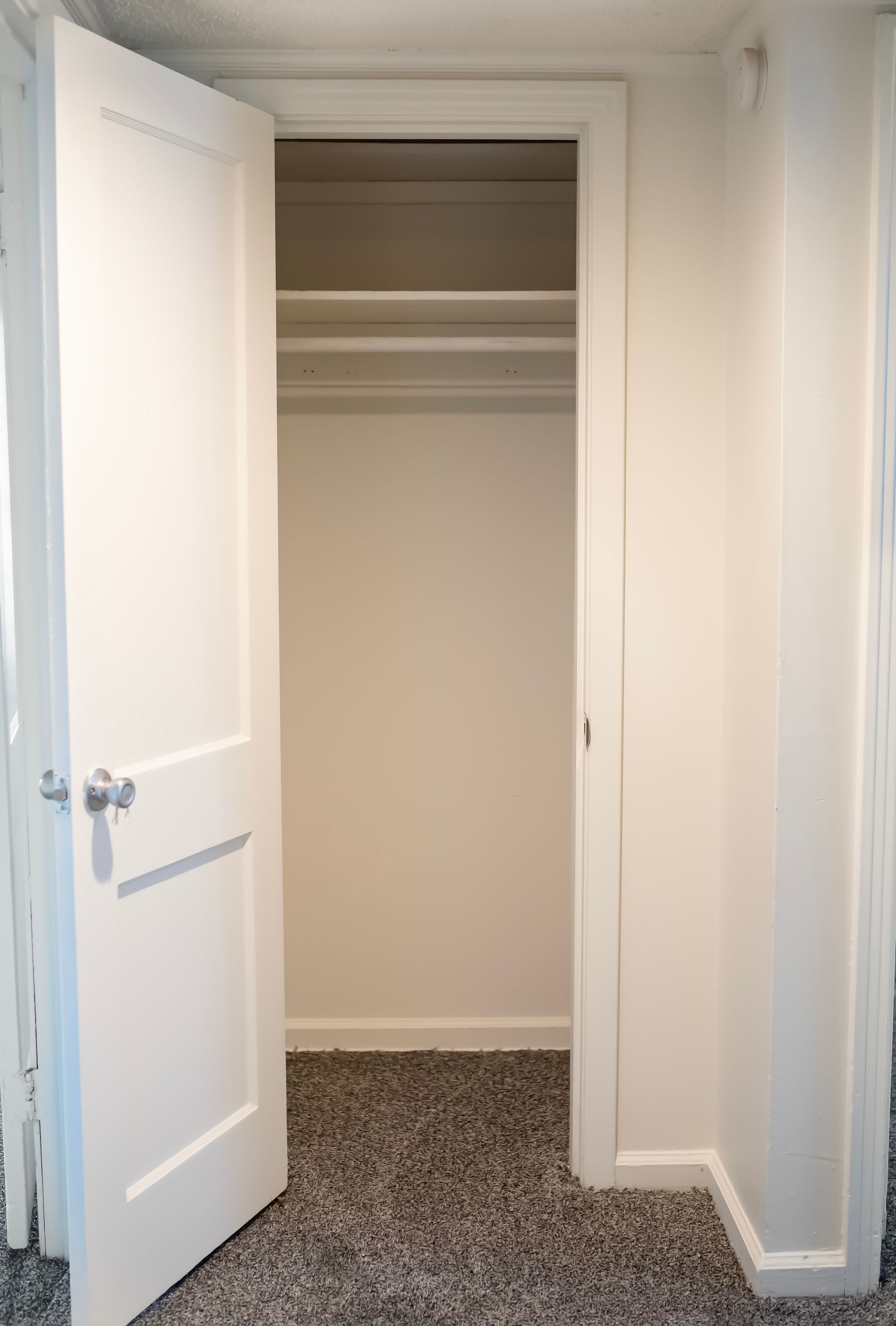 An empty closet with a white door and a carpeted floor.