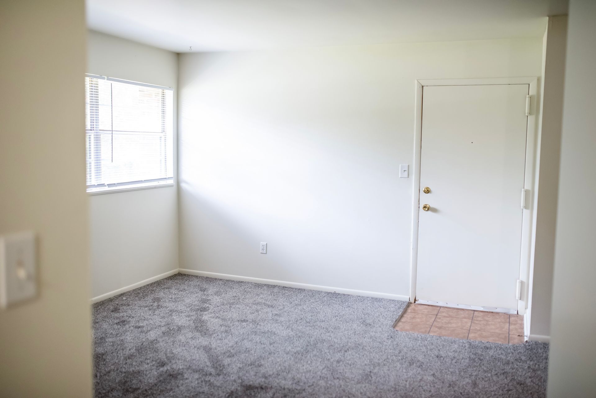 An empty living room with a carpeted floor and a door.