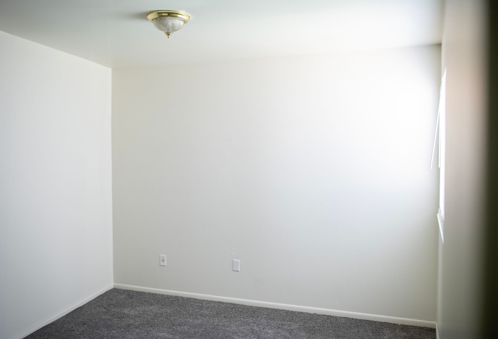 An empty bedroom with white walls and a gray carpet.