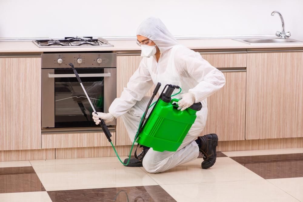 A Man In A Protective Suit Is Spraying A Kitchen Floor With A Sprayer — X-Terminate Pest Control In Mary Valley, QLD