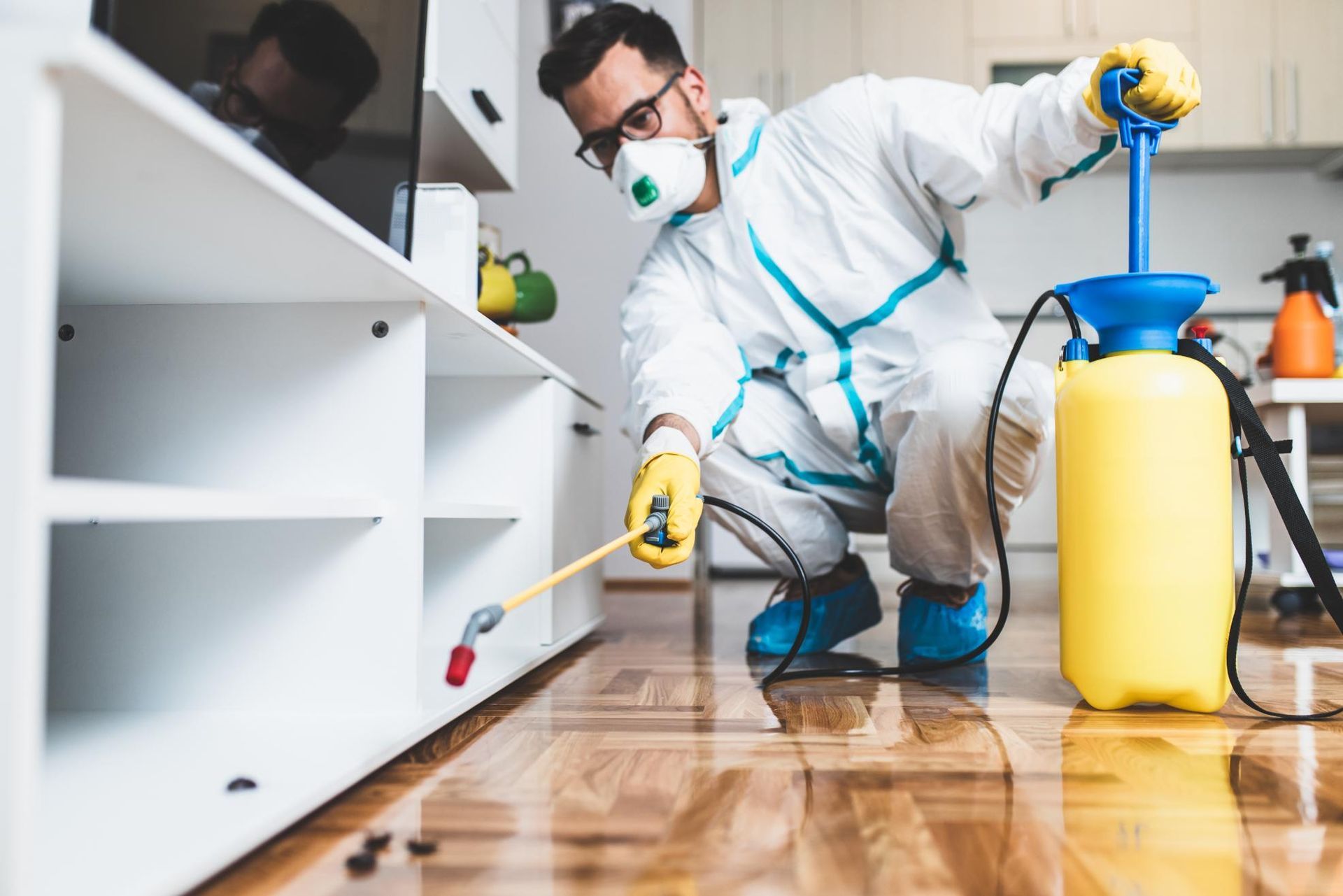 A Man In A Protective Suit Is Spraying Insecticide On A Wooden Floor — X-terminate Pest Control In Mary Valley, Qld
