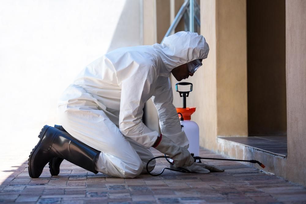 A Man In A Protective Suit Is Kneeling Down On The Sidewalk — X-Terminate Pest Control In Imbil, QLD