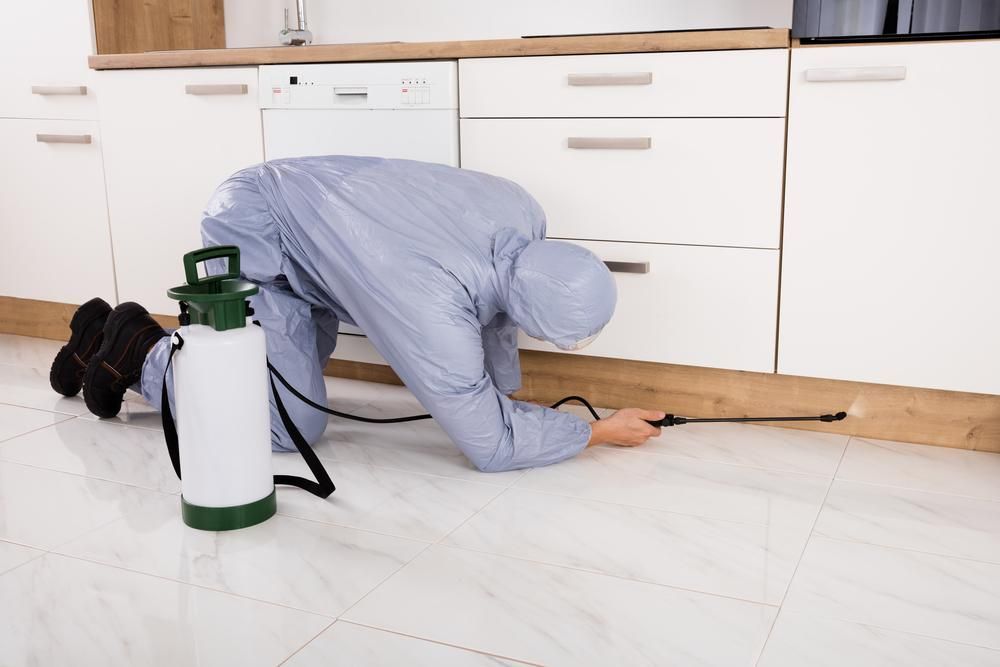 A Man In A Protective Suit Is Crawling On The Floor In A Kitchen — X-Terminate Pest Control In Imbil, QLD