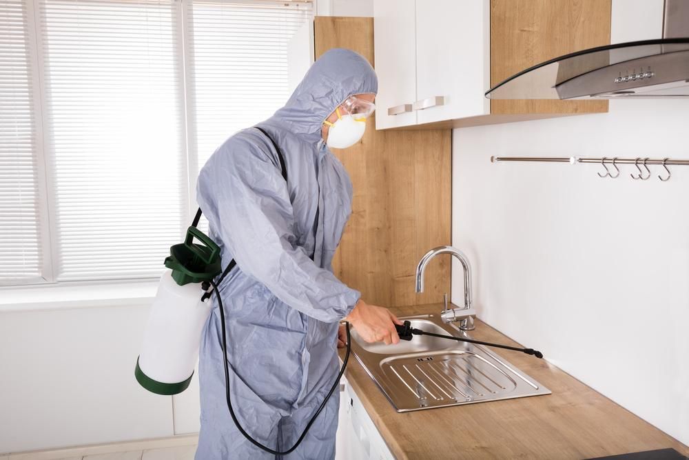 A Man In A Protective Suit Is Spraying A Kitchen Sink With A Sprayer — X-Terminate Pest Control In Imbil, QLD