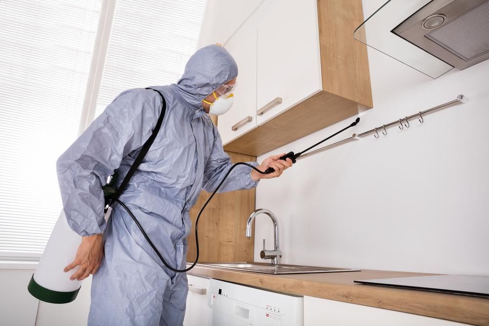 A Man In A Protective Suit Is Spraying A Kitchen With A Sprayer — X-Terminate Pest Control In Mary Valley, QLD