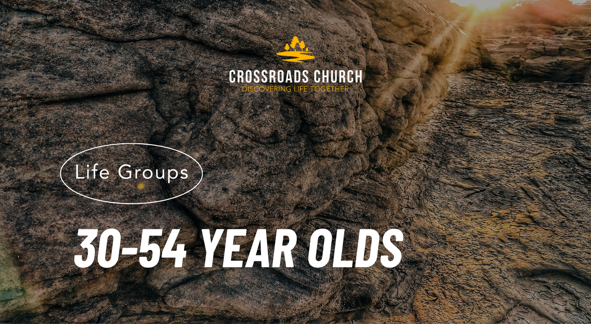 A logo for s.a.l.t. special adults learning together