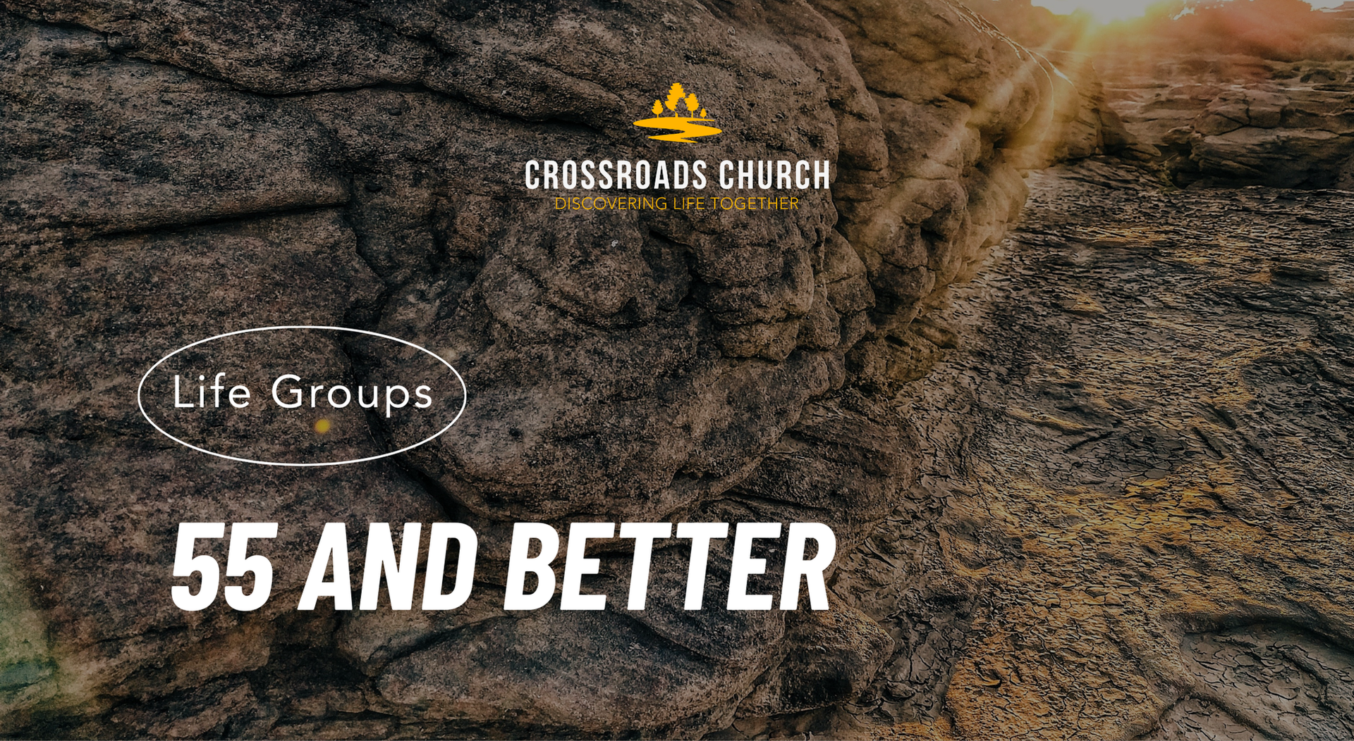 A logo for s.a.l.t. special adults learning together