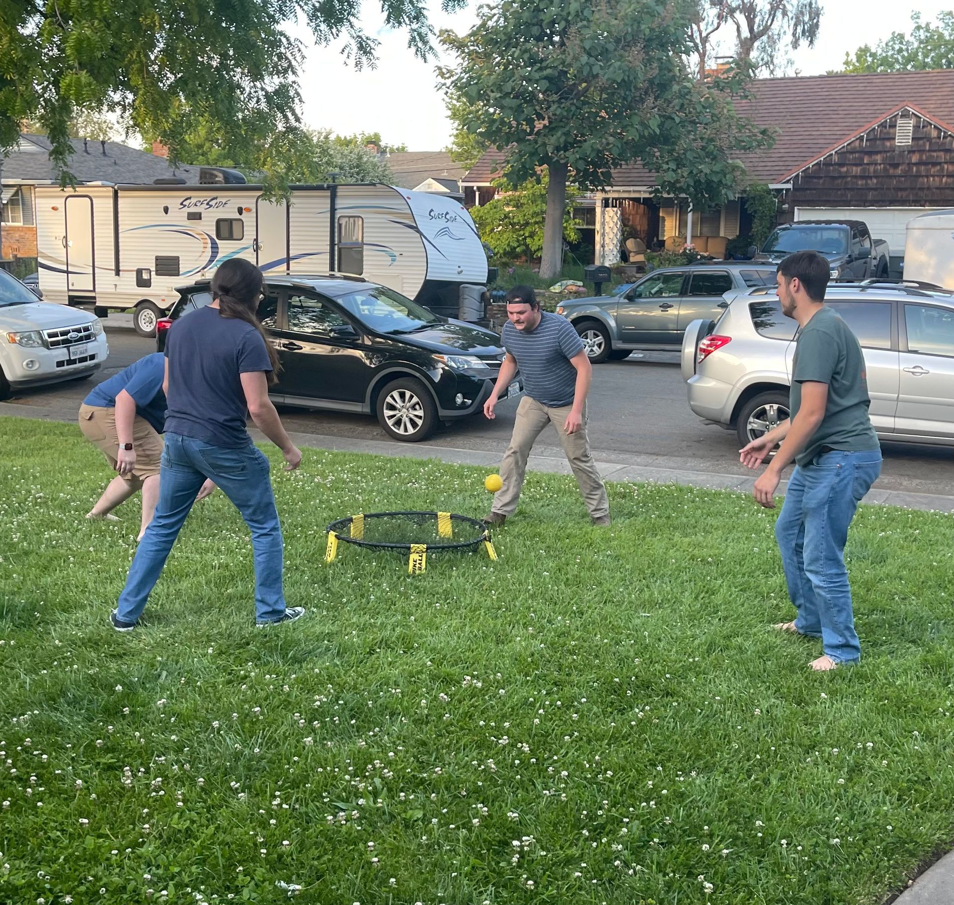 A group of people are playing a game in the grass