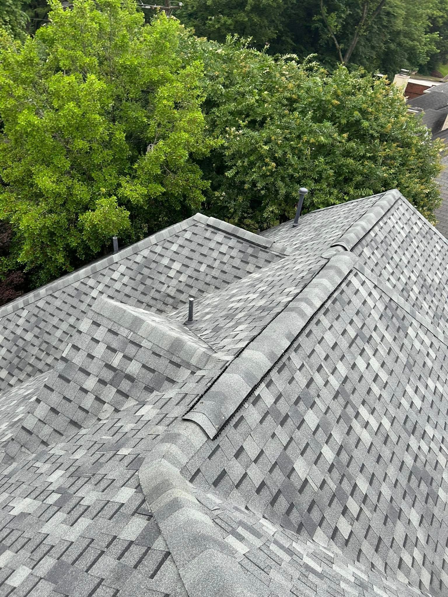 Overhead view of a gray asphalt shingle roof with a green treeline in the background.