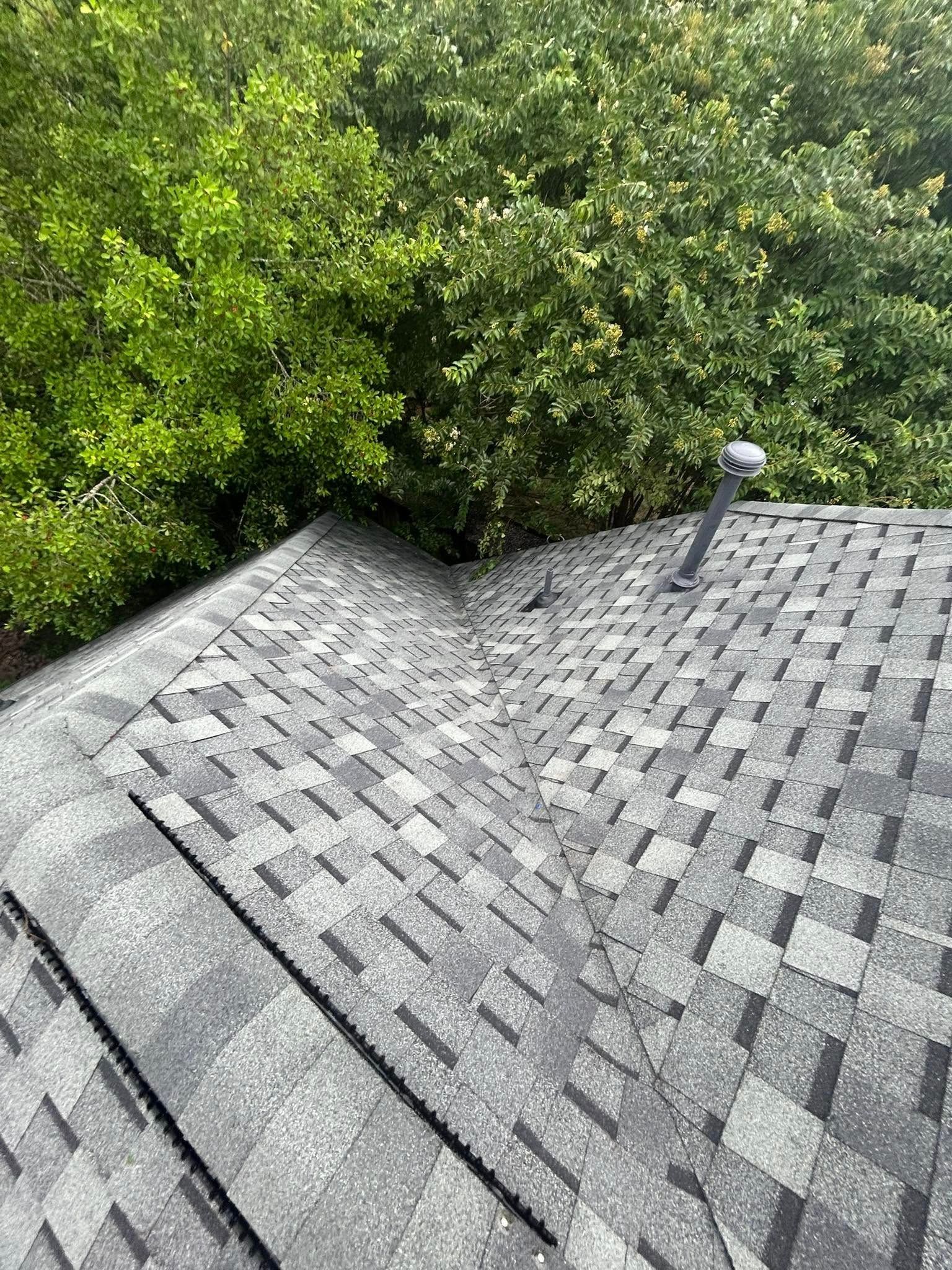 Roof with gray shingles, a vent pipe, and a tree line in the background. Sunlight illuminates the scene.