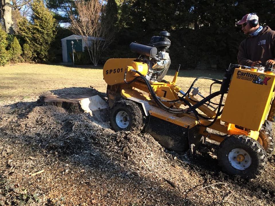 A man is using a stump grinder to remove a tree stump.