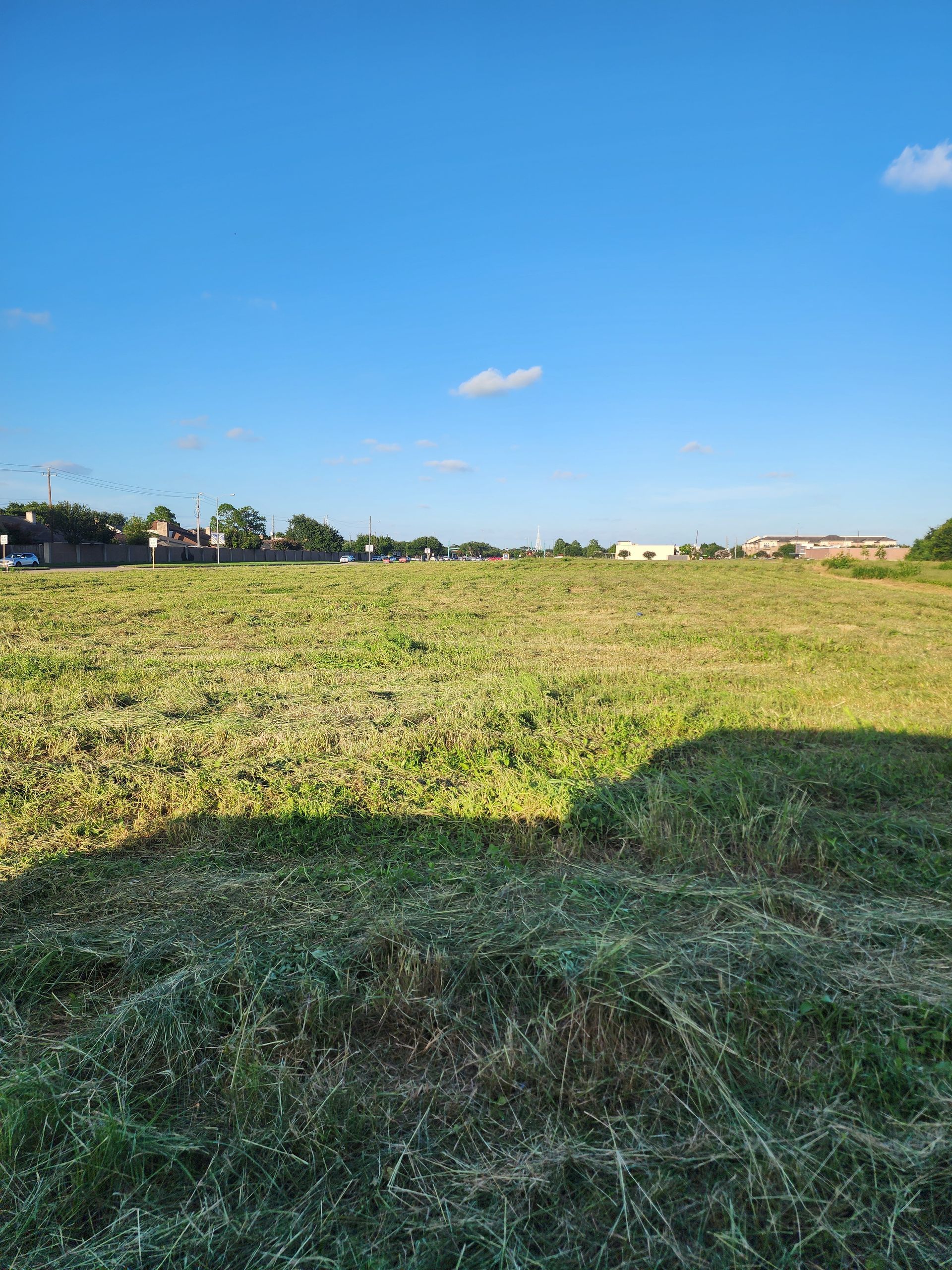 A large grassy field with a blue sky in the background.