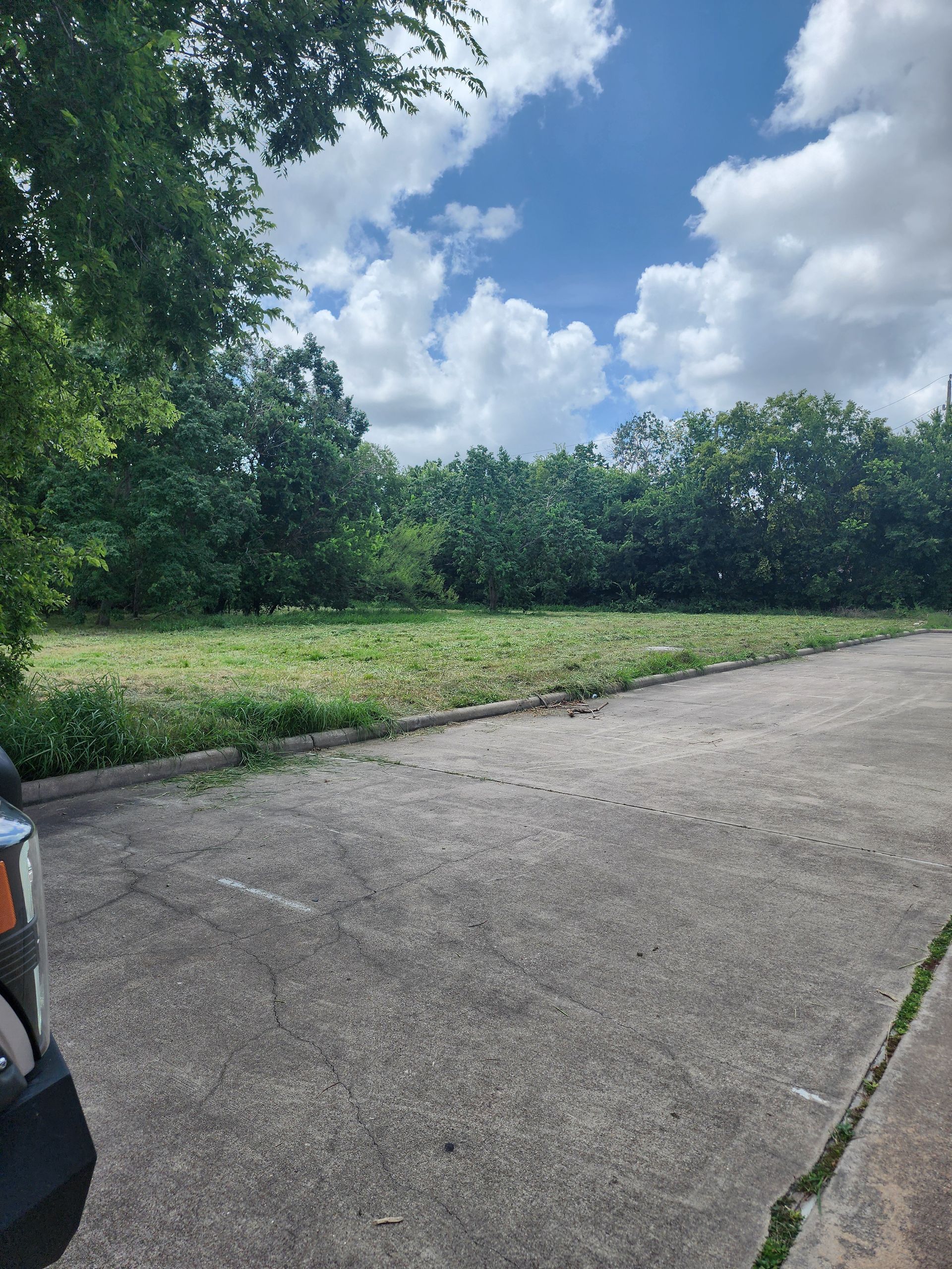 A large grassy field with a blue sky in the background.