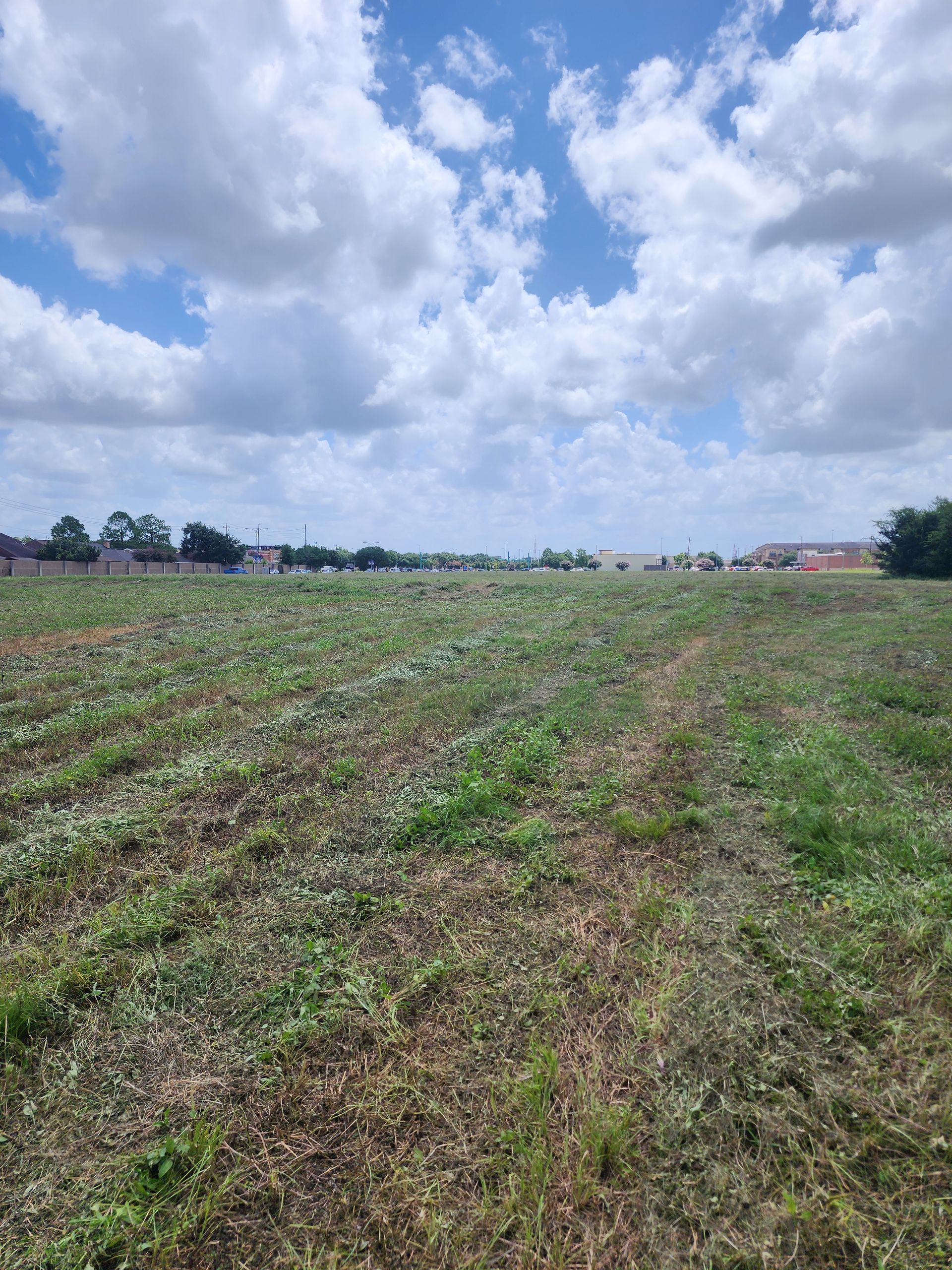A large grassy field with trees in the background and a parking lot in the foreground.