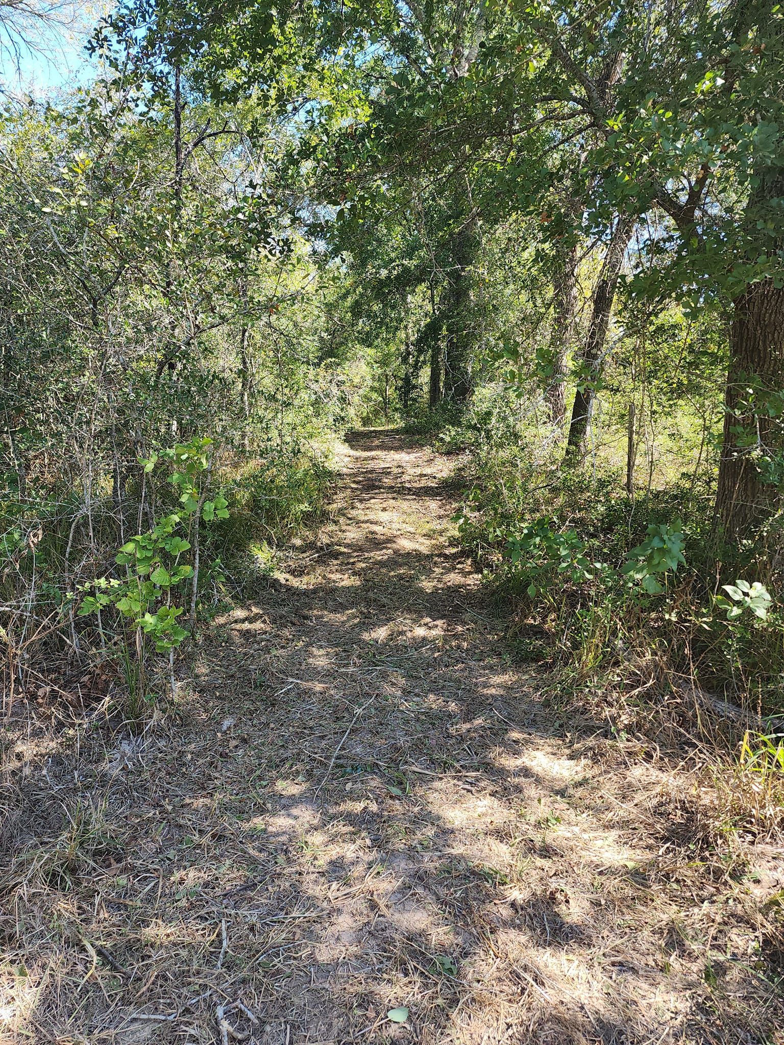 Commercial Brush Hogging