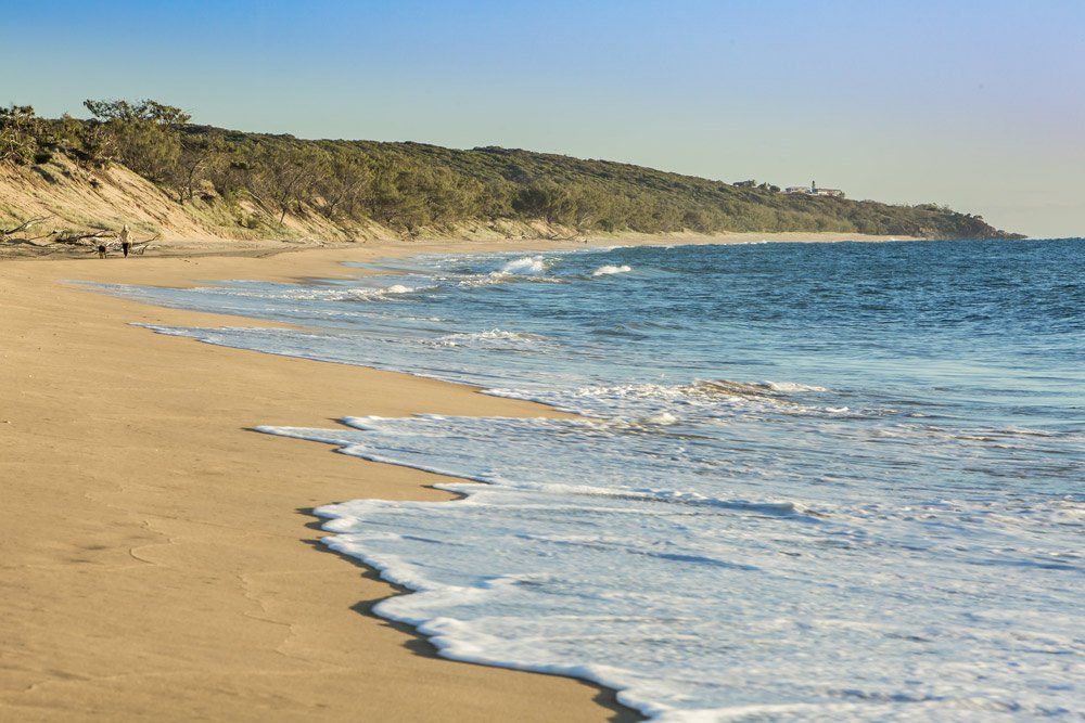 Beach with Grass Dunes — Bookkeepers in Bundaberg QLD