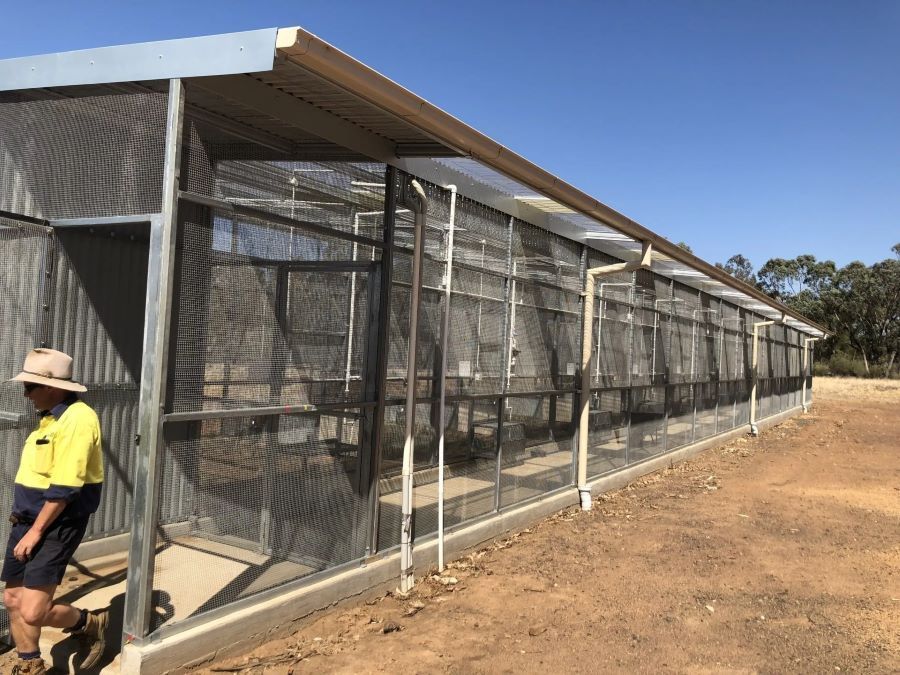 A Man In A Hat Is Standing In Front Of A Large Cage — Agriweld Engineering in Dubbo, NSW