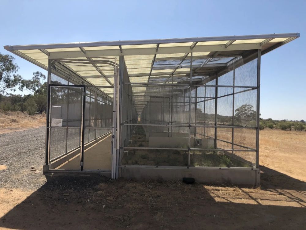 A Greenhouse With A Clear Roof Is Sitting In The Middle Of A Dirt Field — Agriweld Engineering in Dubbo, NSW