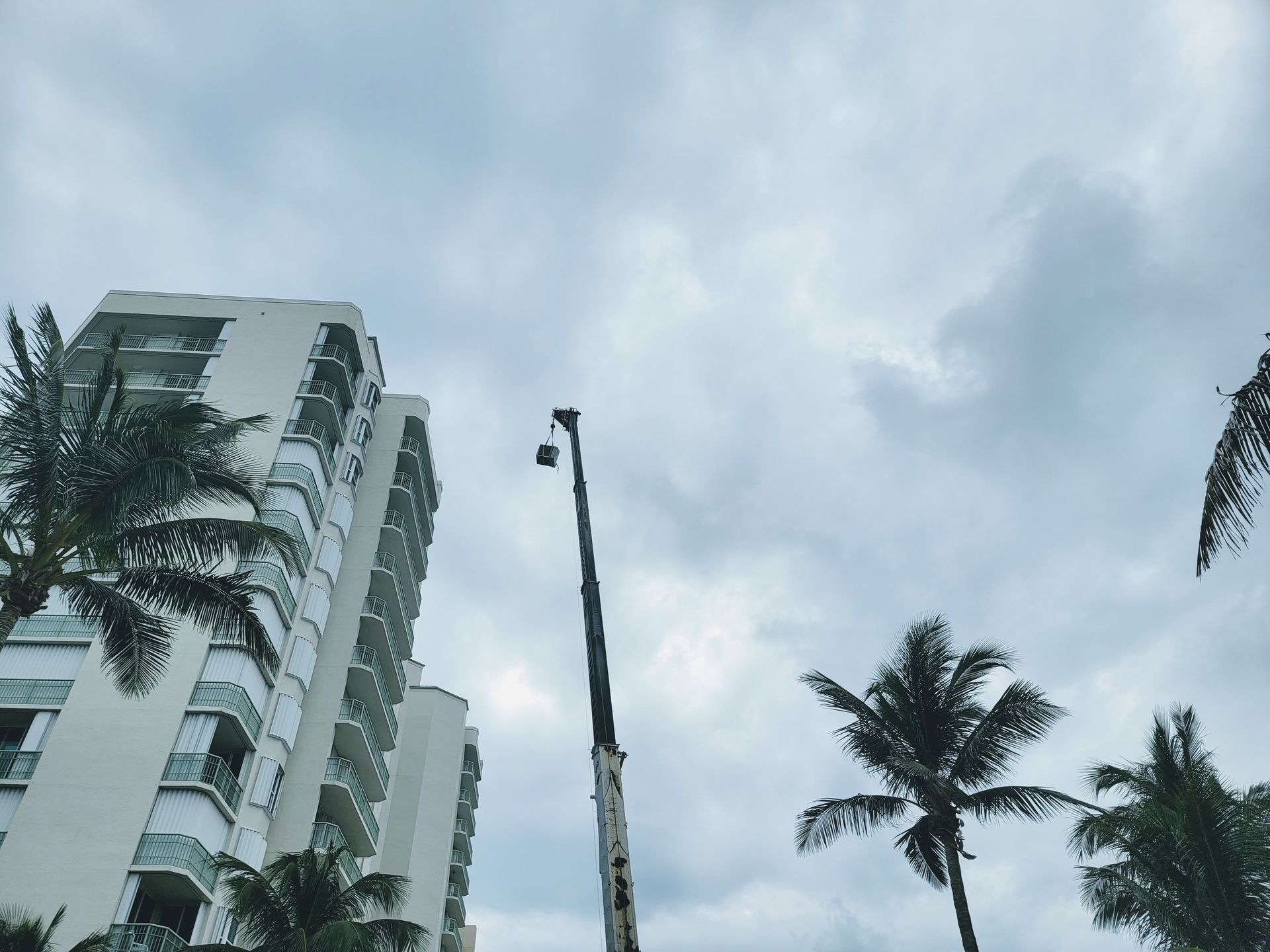 A tall building with palm trees in front of it