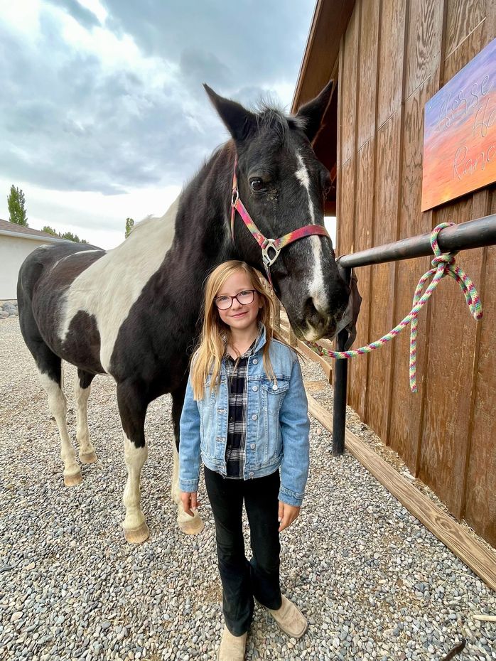 horse sitting business grand junction