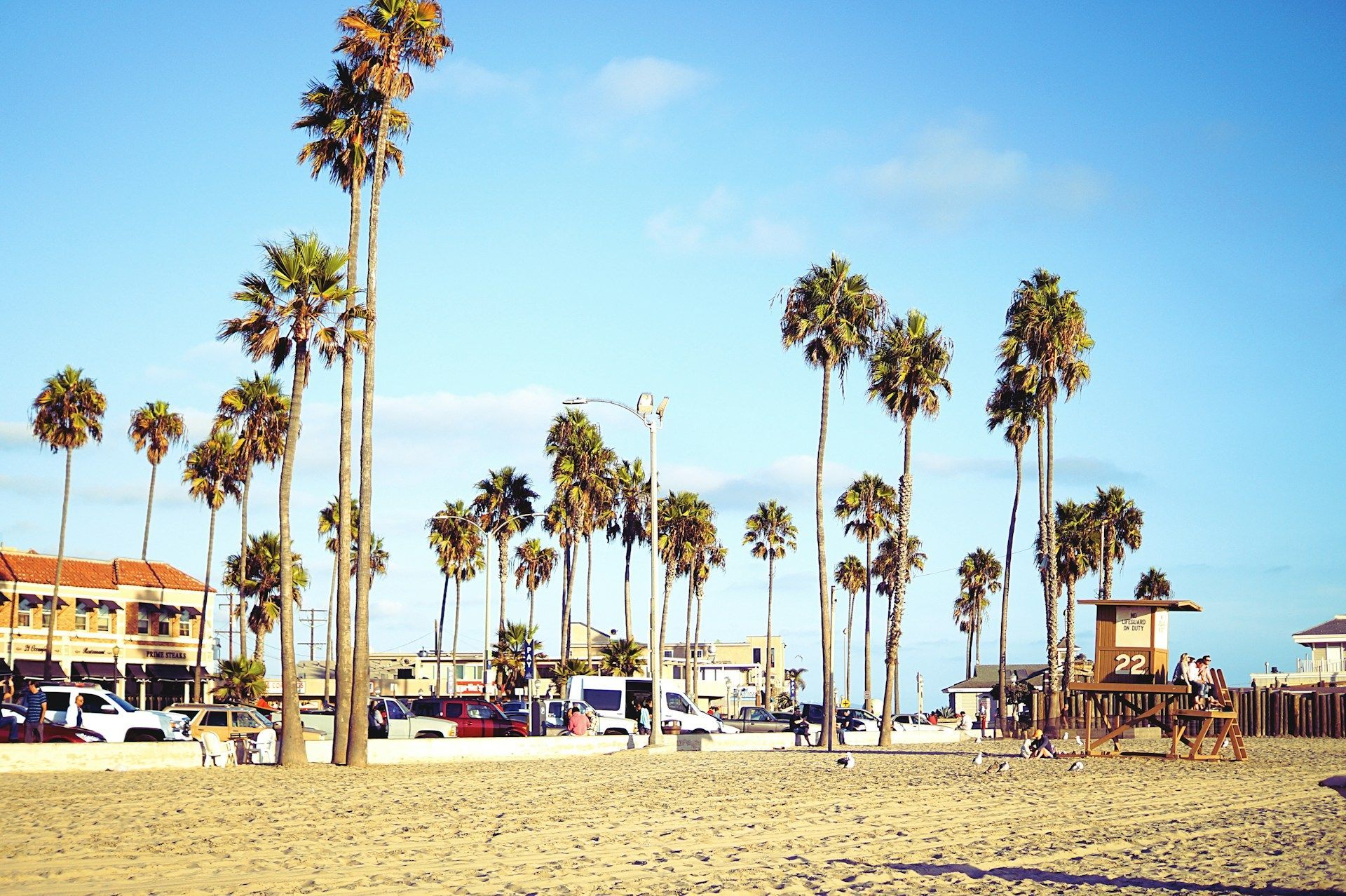 Beach scene with palm trees, sand, buildings, cars, and lifeguard stand under blue sky.