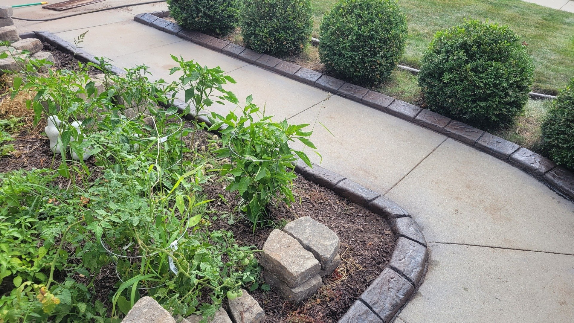 A walkway curves past a garden bed featuring tomato and pepper plants, bordered by dark stone blocks and round shrubs.