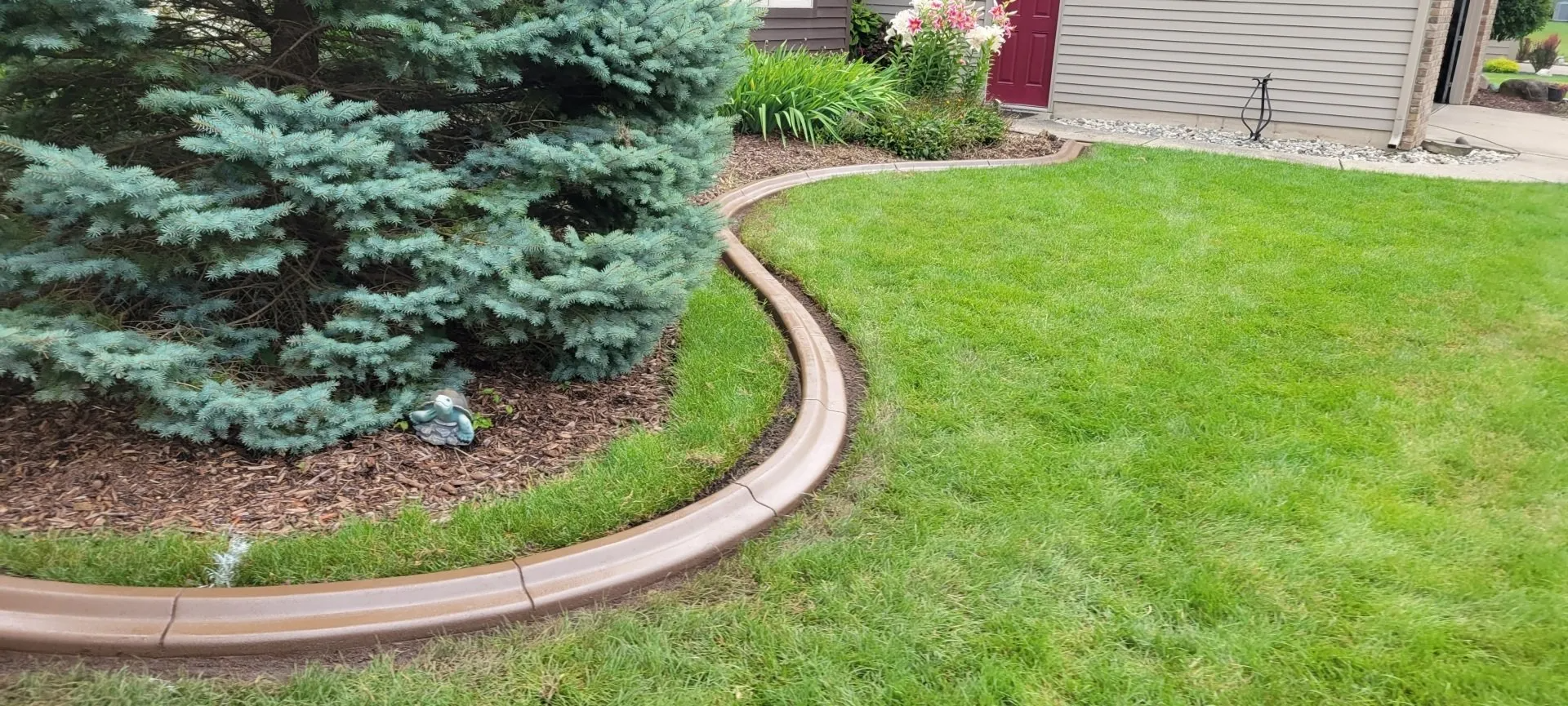 A curved concrete landscape border separates a mulched garden bed containing an evergreen shrub from a green grass lawn.