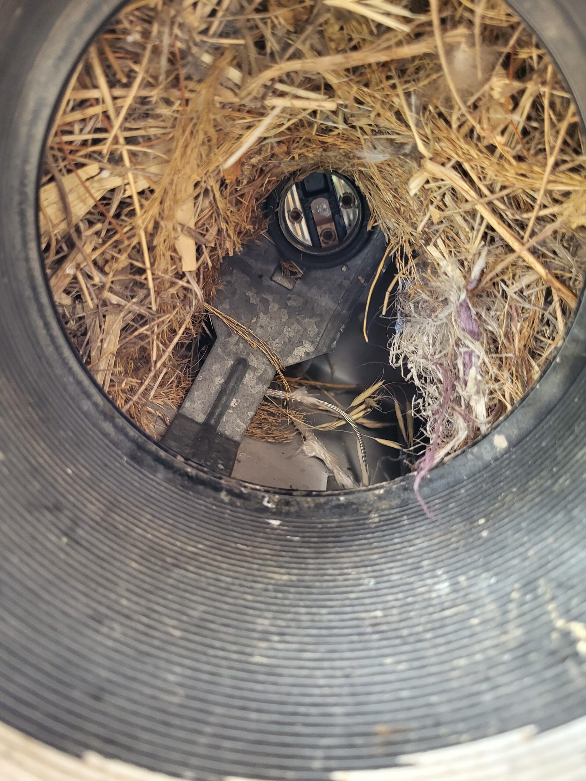 A close up of a hole in a pipe filled with straw