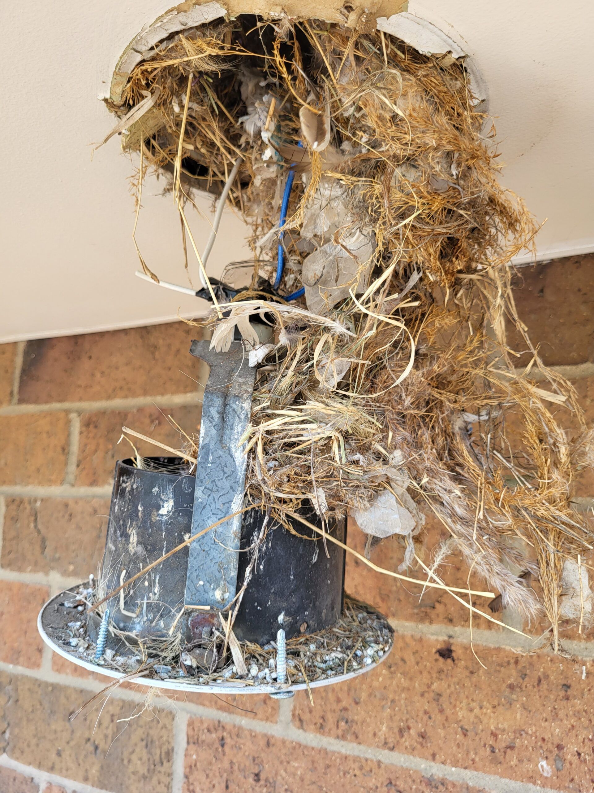 A bird nest is hanging from the ceiling of a building.
