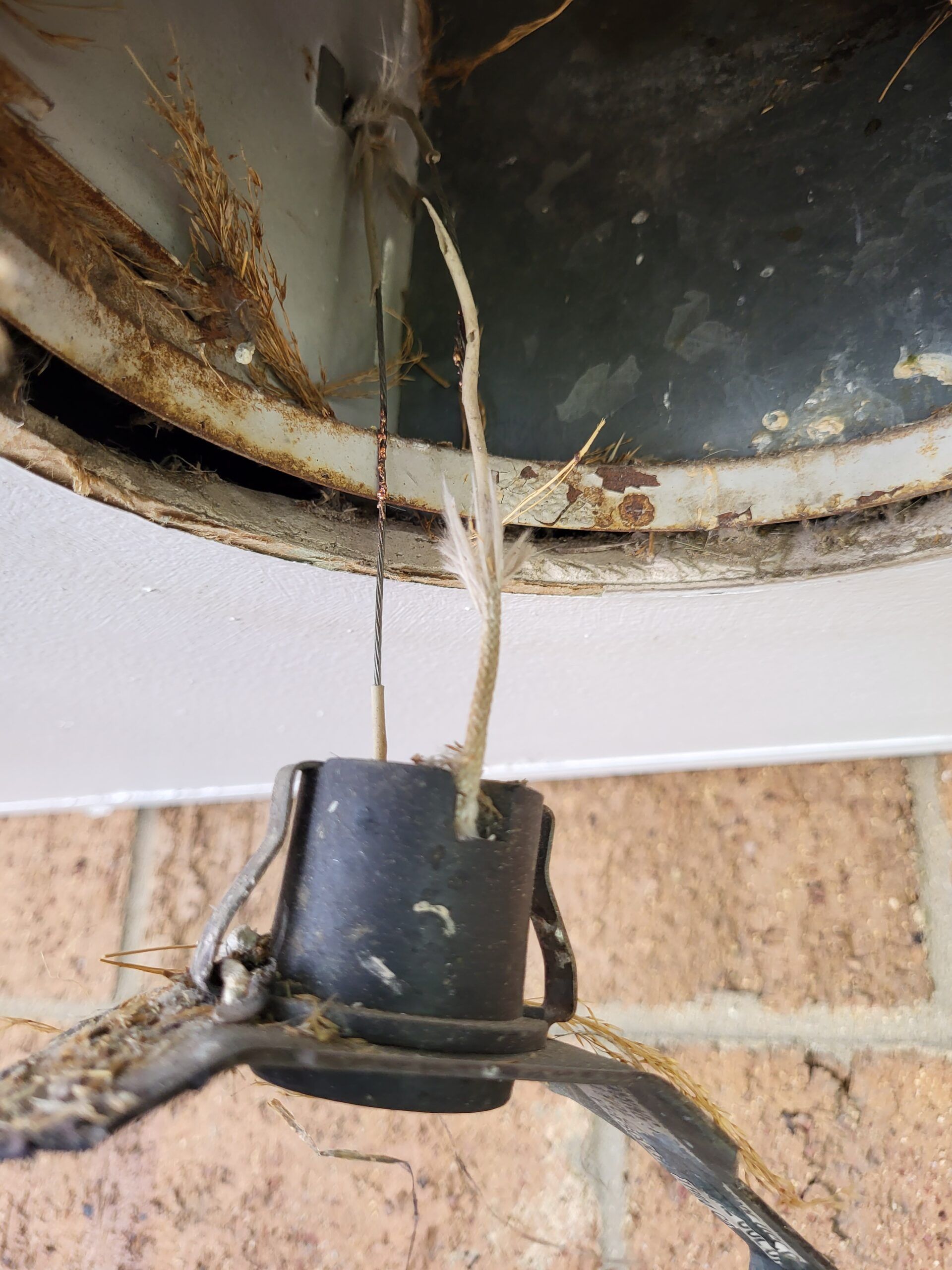 A close up of a wire hanging from the ceiling of a building.