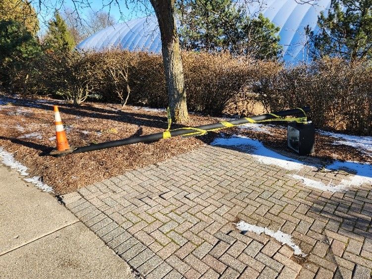 A brick sidewalk with a tree and a cone on it.