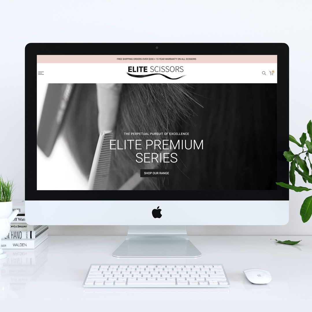 Shopify expert sutherland shire