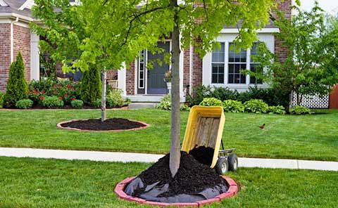 A tree is being mulched in front of a house.