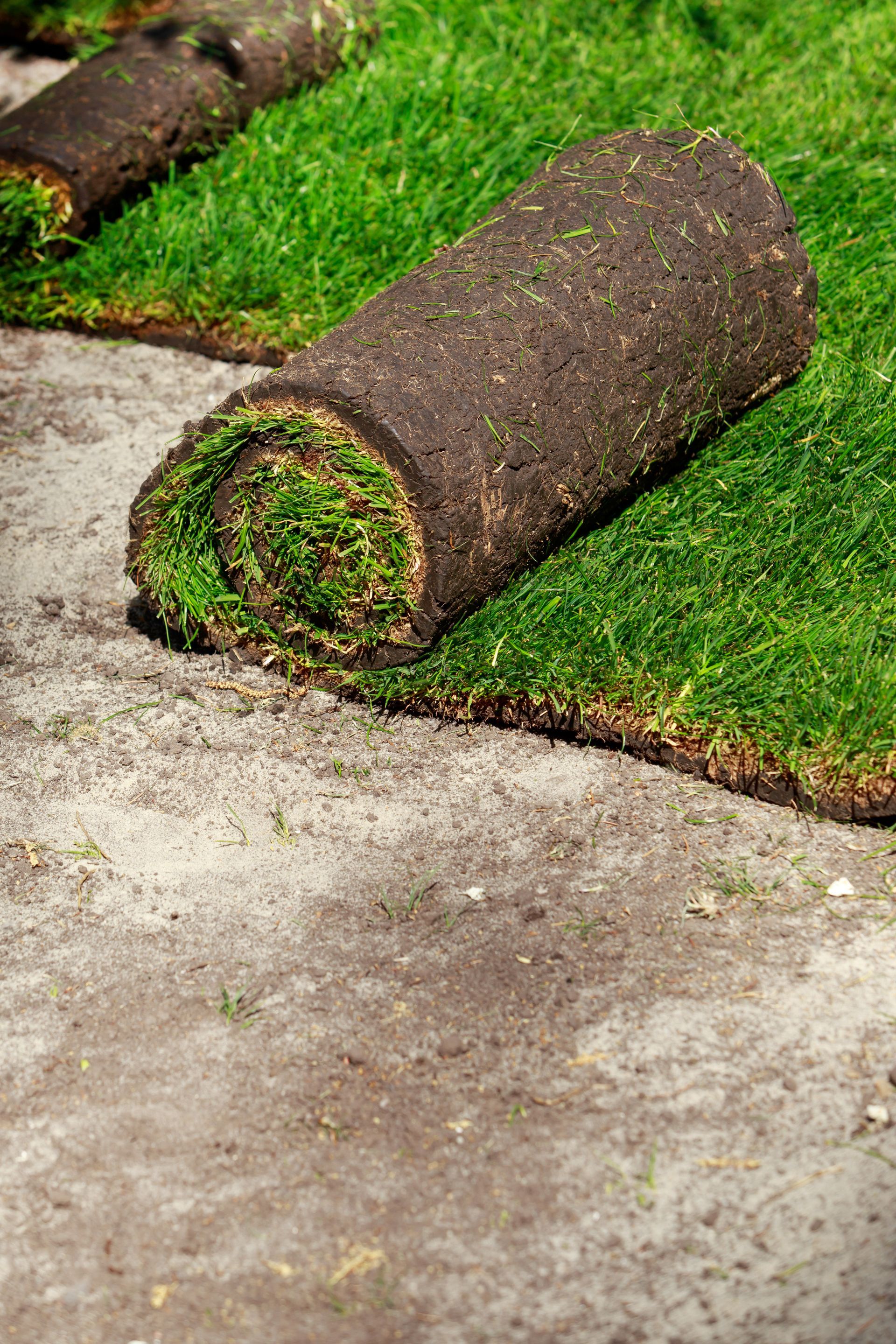 A bunch of rolls of grass are sitting on the ground.
