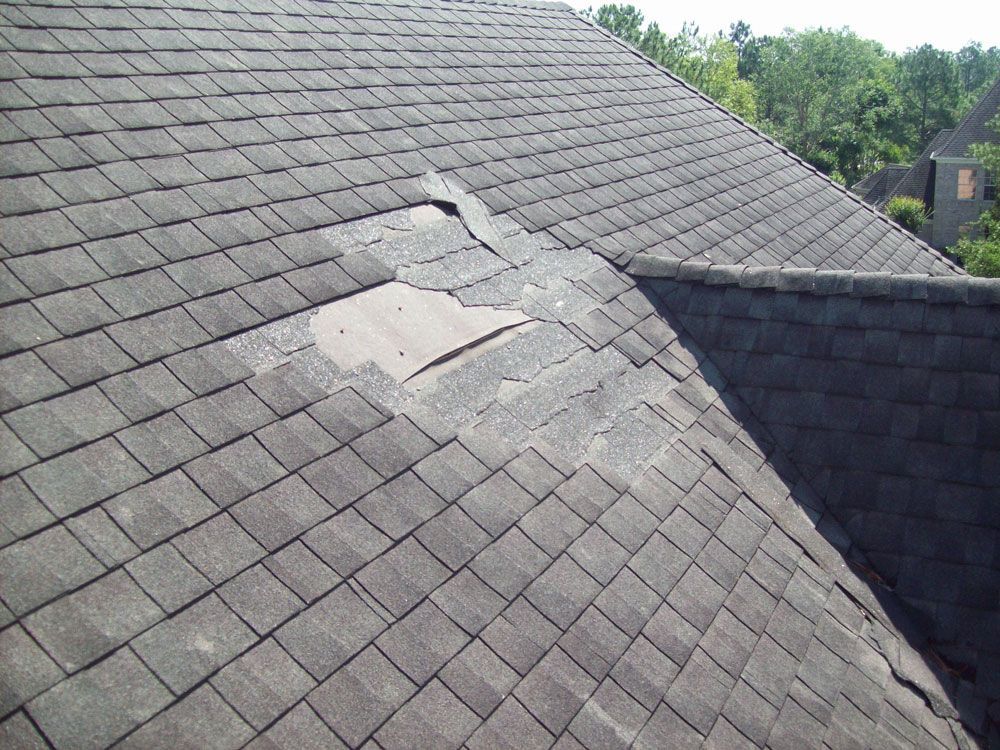 Hogan roof - roof damage