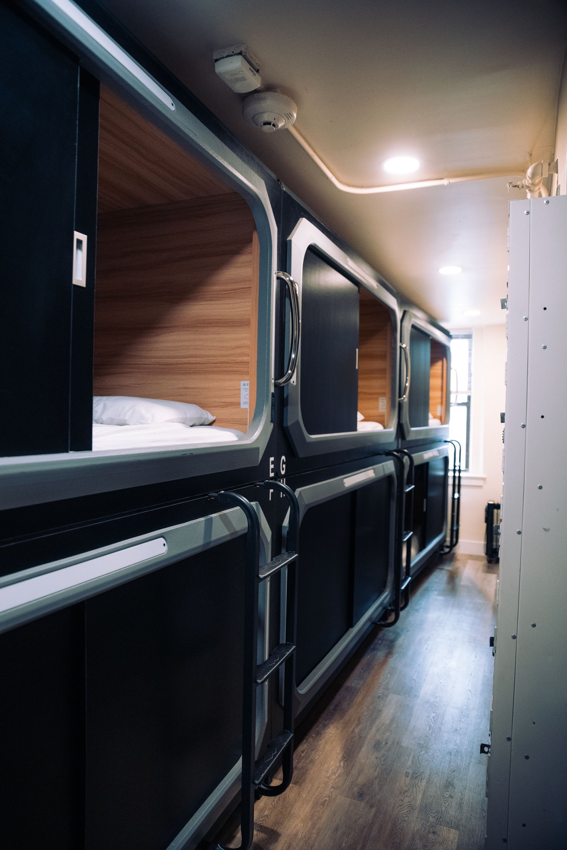 A row of bunk beds in a room with a ladder