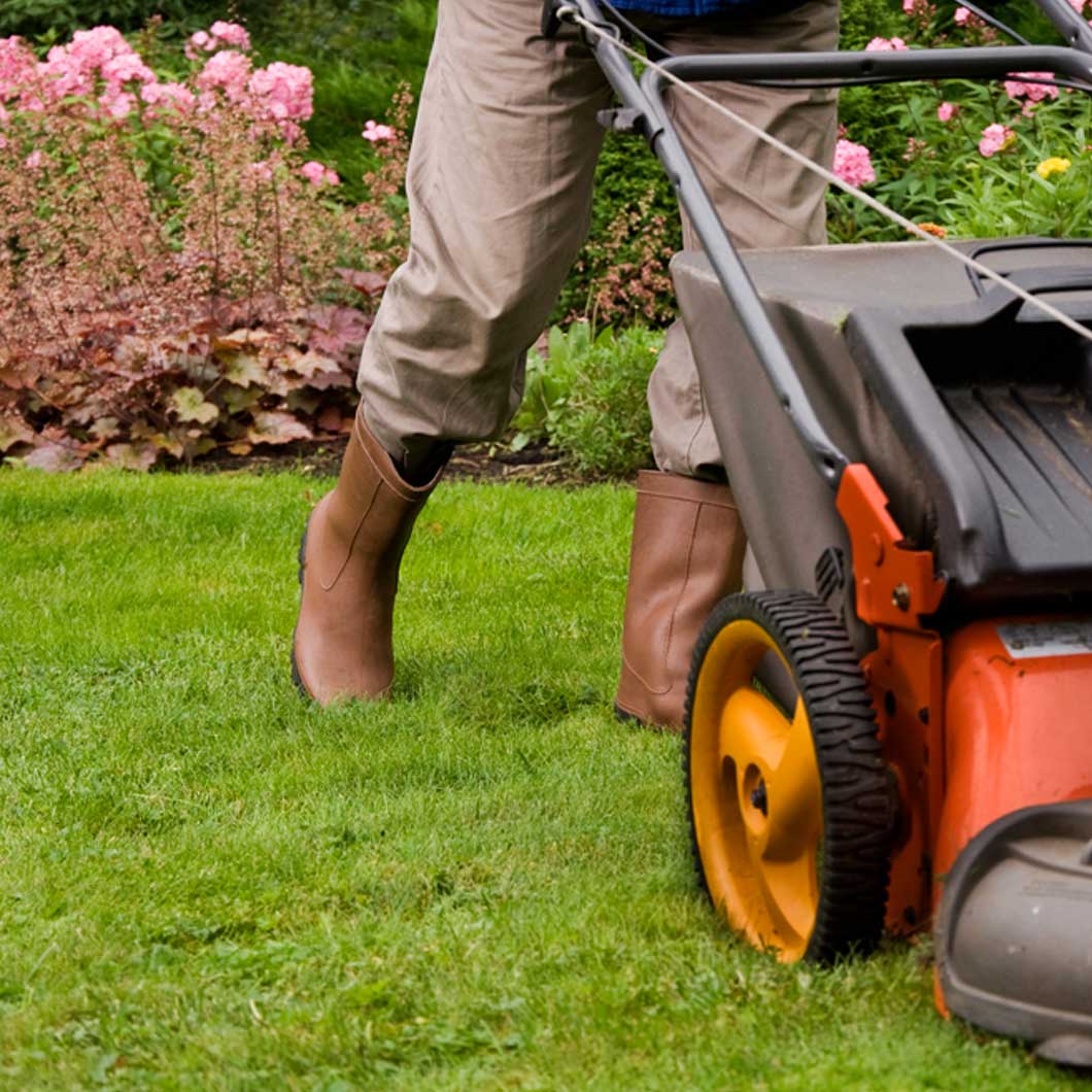 Gardener mowing the lawn.