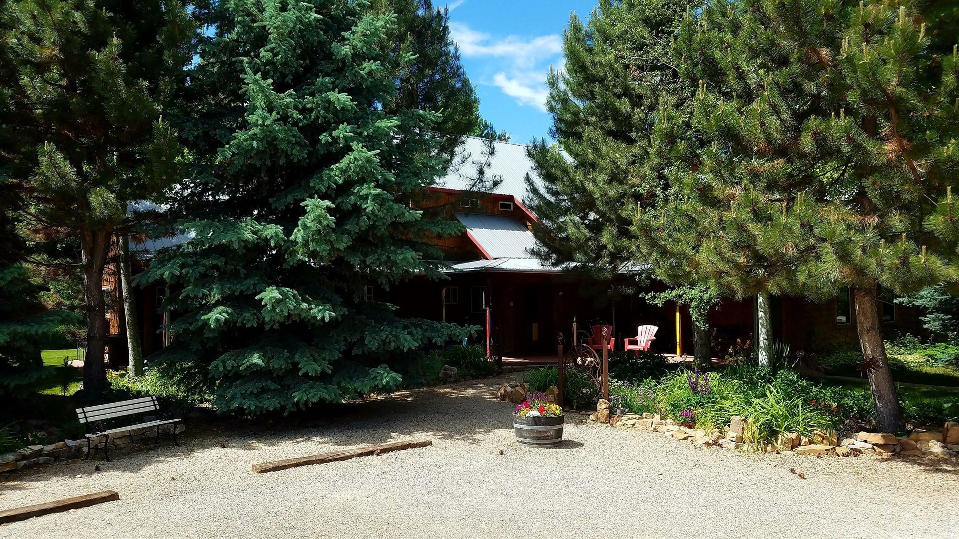 A house is surrounded by trees and a gravel driveway.