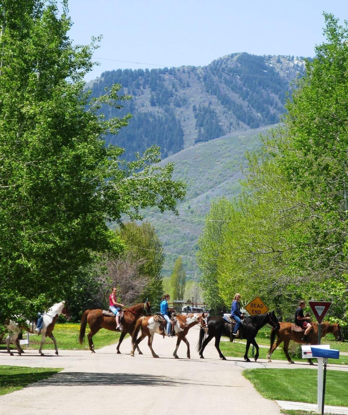 A group of people riding horses down a path with mountains in the background