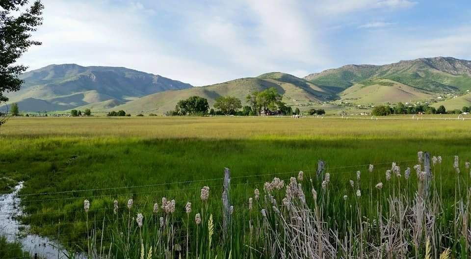 A grassy field with mountains in the background and a stream running through it.
