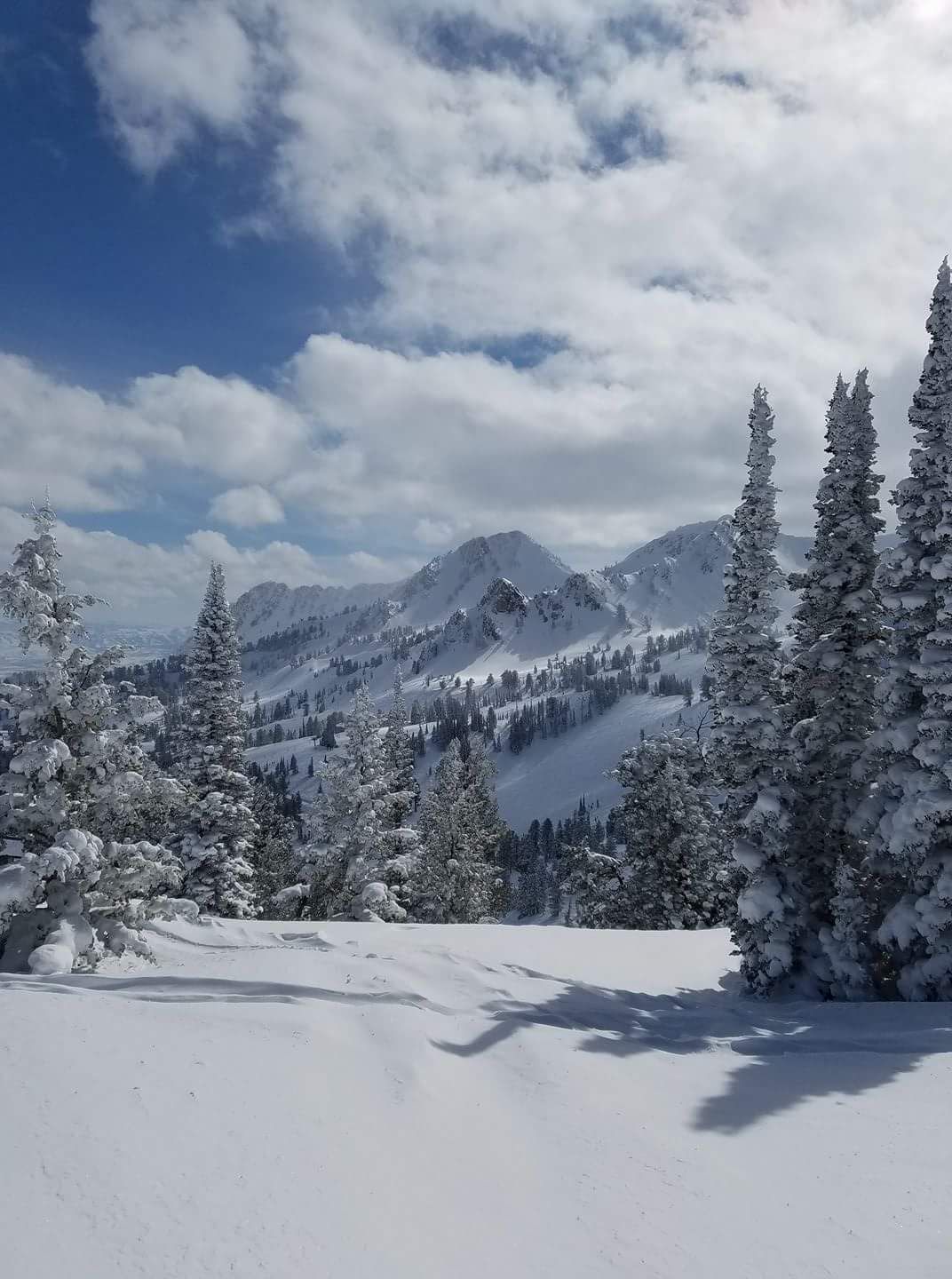 A snowy landscape with trees and mountains in the background