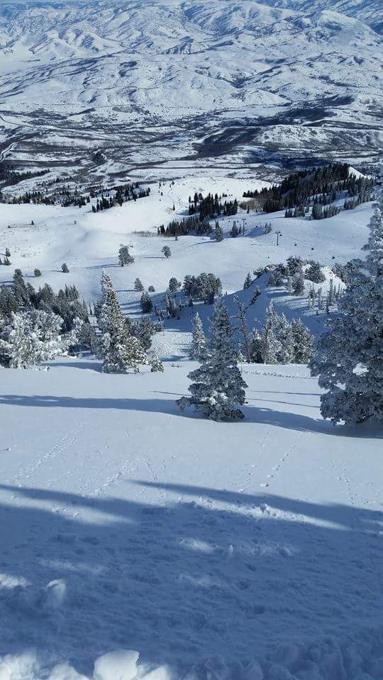 A snowy landscape with trees and mountains in the background