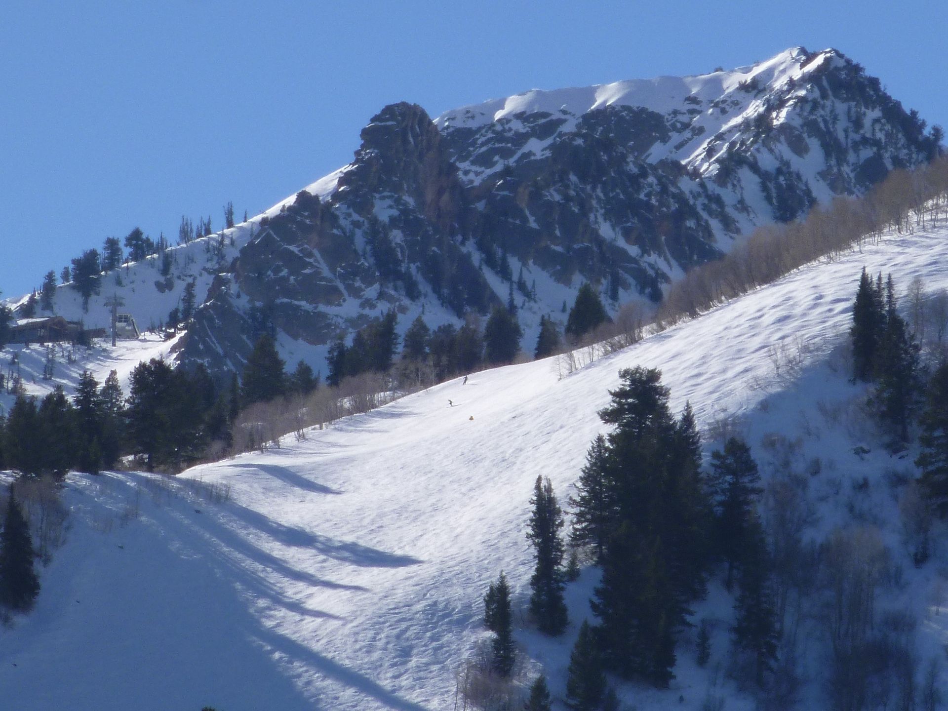 A snowy mountain with trees on the side of it