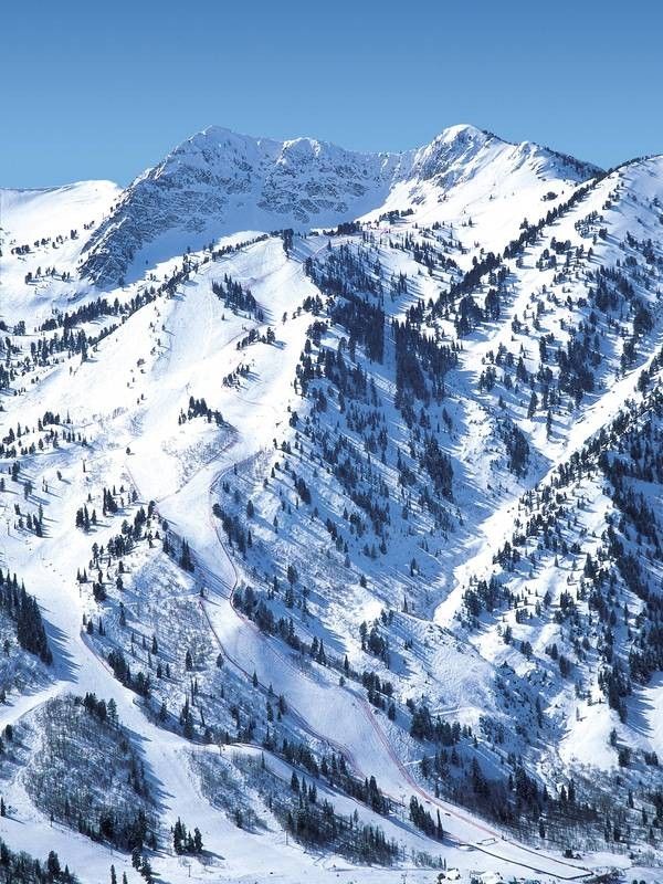 A snowy mountain with trees on the side of it