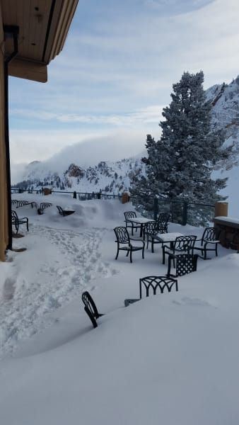 A snowy patio with tables and chairs and a tree in the background