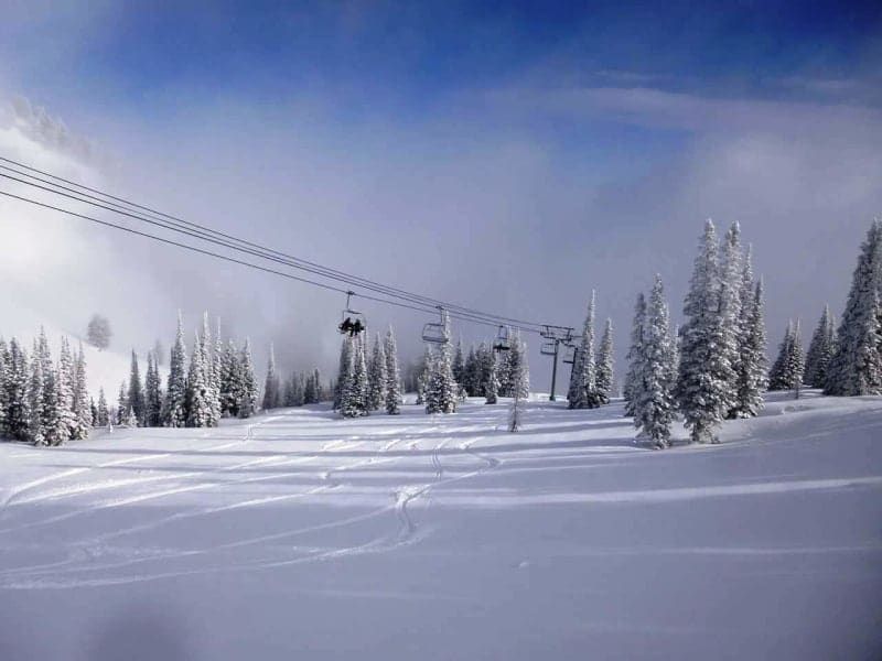 A ski lift is going down a snow covered slope surrounded by snow covered trees.