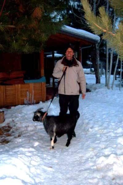 A man is walking a goat on a leash in the snow.
