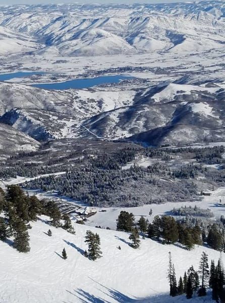 A snowy landscape with mountains and trees in the foreground