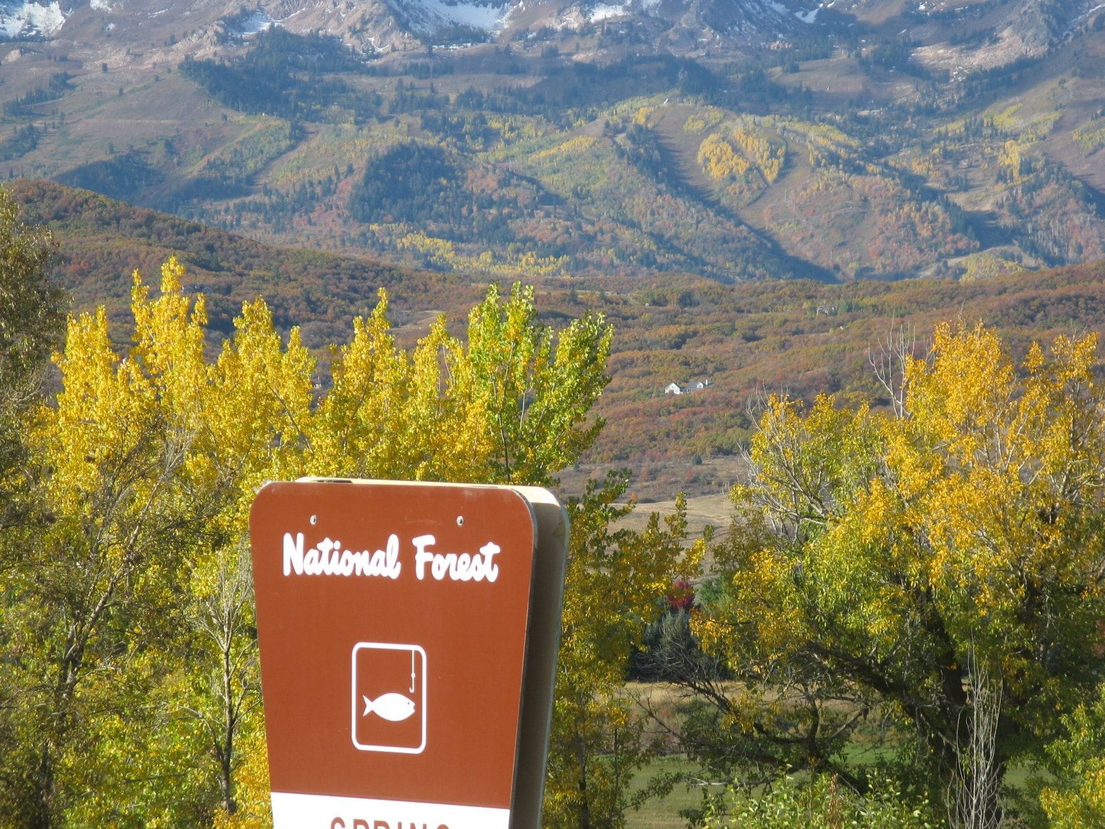 A sign for the national forest with mountains in the background
